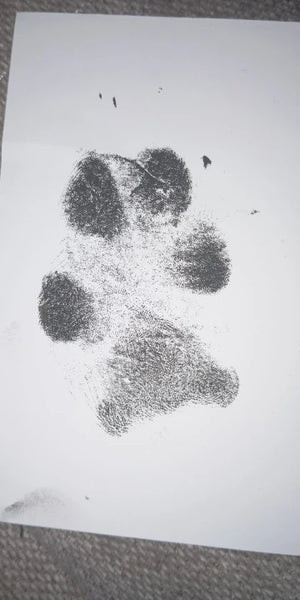 A0c70f045911c4accbe49163429d6307f9.jpg