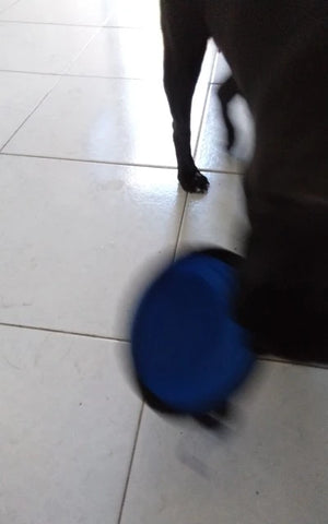 A210818c9e43f47bebea9f2cd816914f1g.jpg