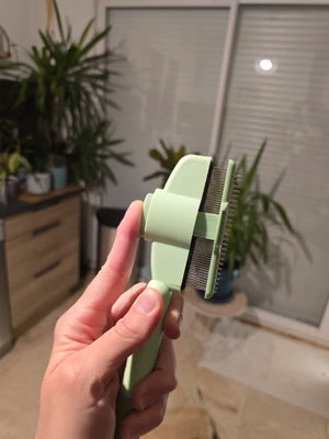 A4d3d4dfd61a14e49a9834befa53f93c6L.jpg