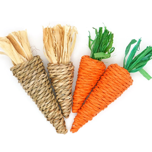Organic Bunny Fun Chew Set