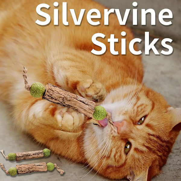 Natural Cat Tooth Care Stick