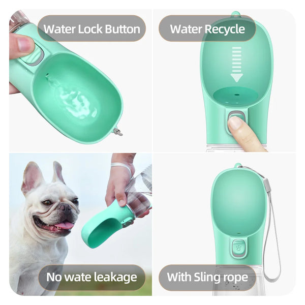Portable Pet Hydration Bottle