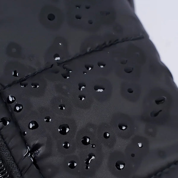 Cozy Paws Winter Dog Jacket