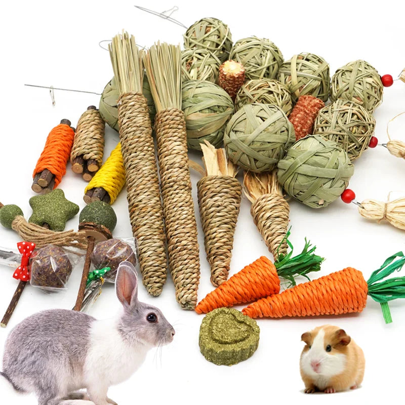Organic Bunny Fun Chew Set