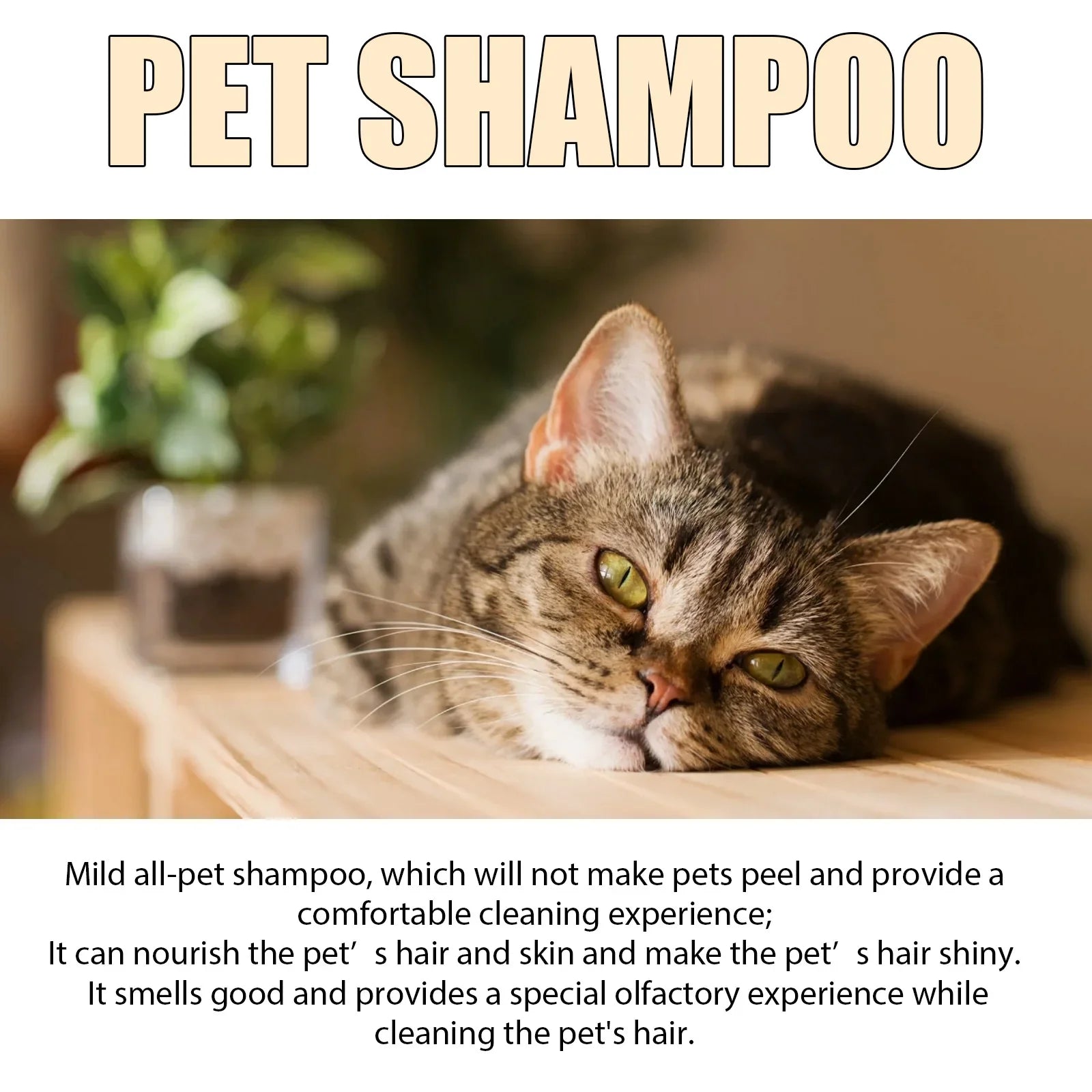 Ultimate Dog Shampoo Delight